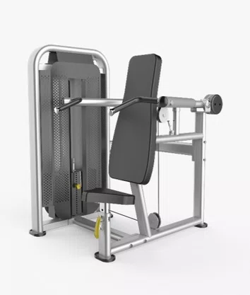 Chest Press