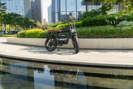 Sport V35