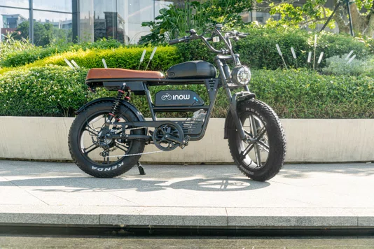 Sport V35