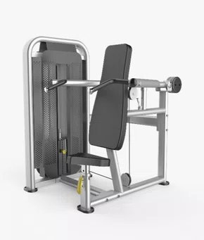 Chest Press