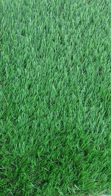 Grama Sintética 30mm Soft Escura - m²