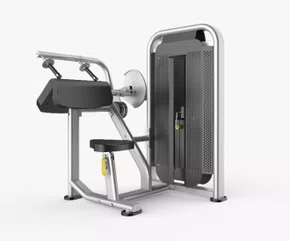 Máquina de Tríceps Press