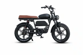 Sport V35