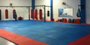 Tatame Para Taekwondo